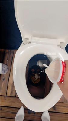 025105vmzm0wch12txx54t.jpg