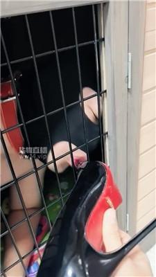 121513j6cavzdvvbczvbdv.jpg