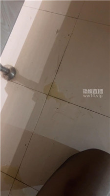 004740ed5y0ex5h9dyyu3u.jpg