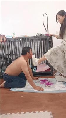 023359igt5t9hujzi58c9v.jpg